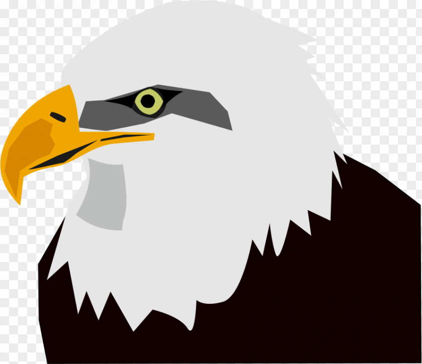 Eagle Head Images Bald Clip Art PNG