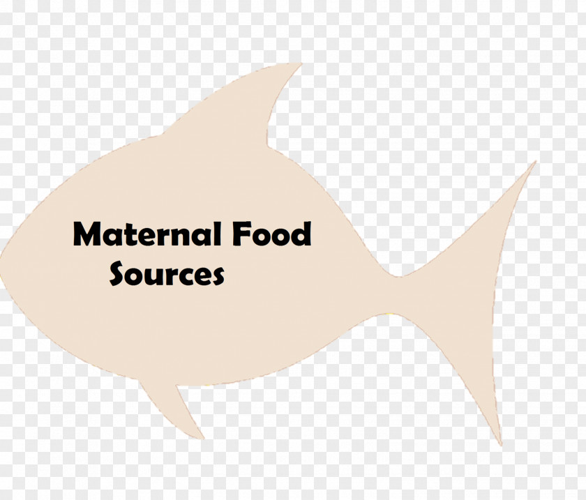 Fish Logo Marine Mammal Brand Font PNG