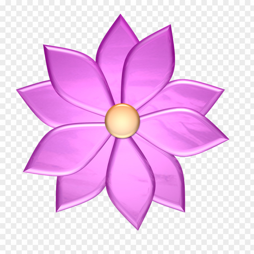 Flower Petal Pink Image PNG