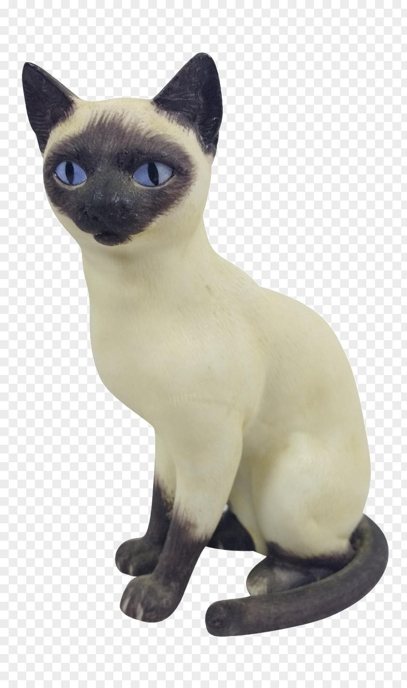 Asia Siamese Cat Tonkinese Domestic Short-haired Whiskers Snout PNG
