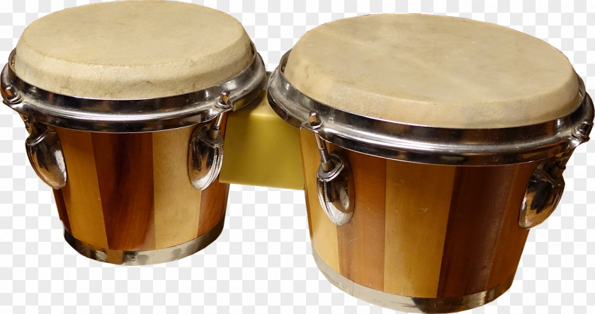 Drum Bongo Percussion Musical Instruments PNG