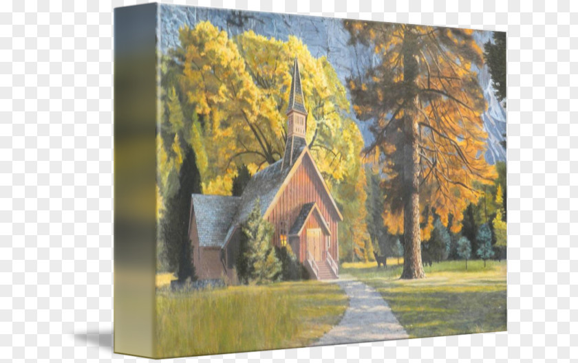 Painting Watercolor Acrylic Paint Gallery Wrap PNG
