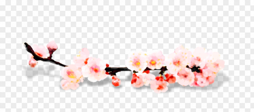 Peach Branches App Store Computer File PNG