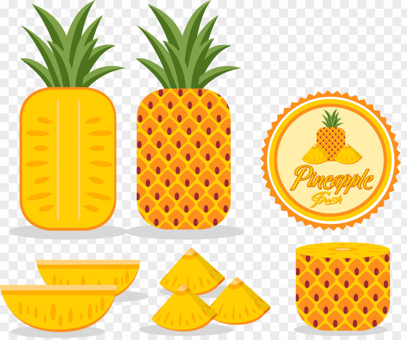 Yellow Pineapple Adobe Illustrator Logo PNG