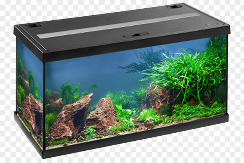 Acuario Aquarium Eheim Fishkeeping Light-emitting Diode Aberiak PNG