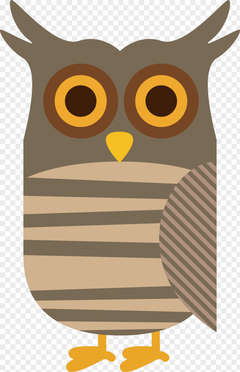 Owl M Beak PNG