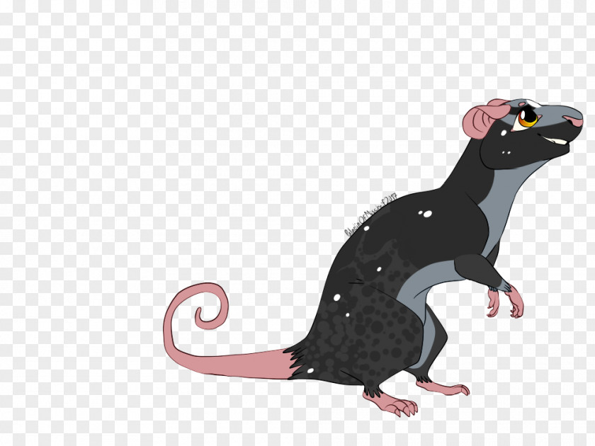 Rat & Mouse Reptile Muroidea Animal PNG