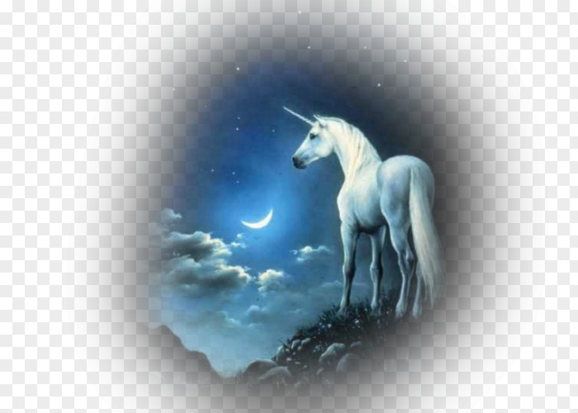 Unicorn Mythology Desktop Wallpaper PNG