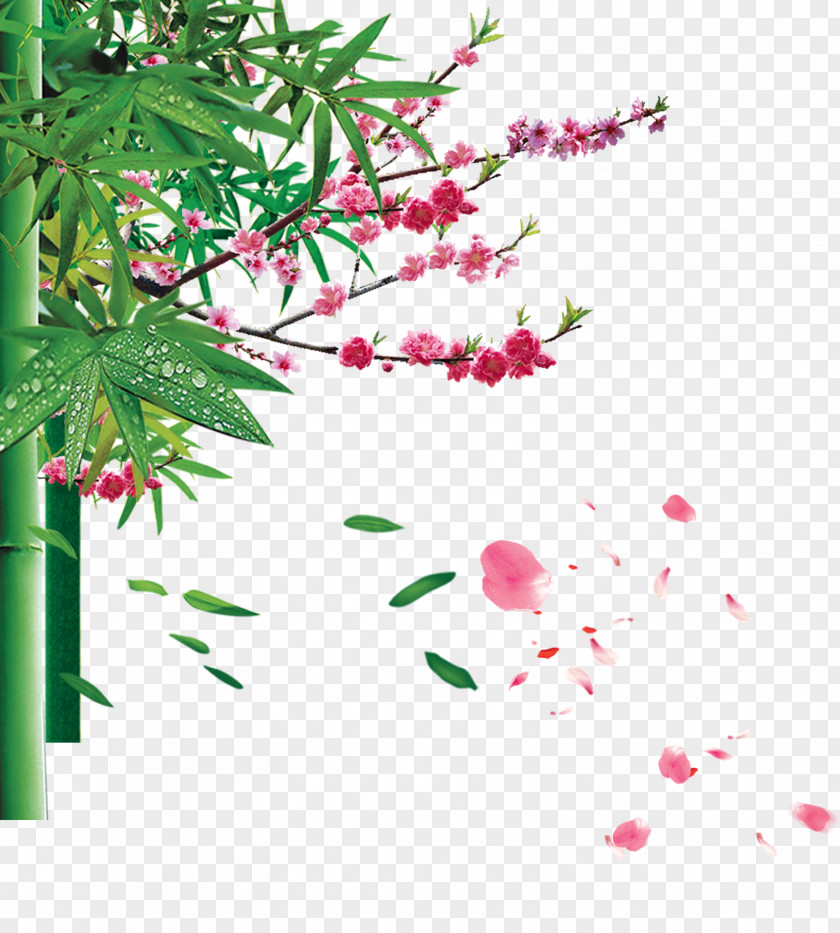 Creative Bamboo Blossoms Apricot Download Printing PNG
