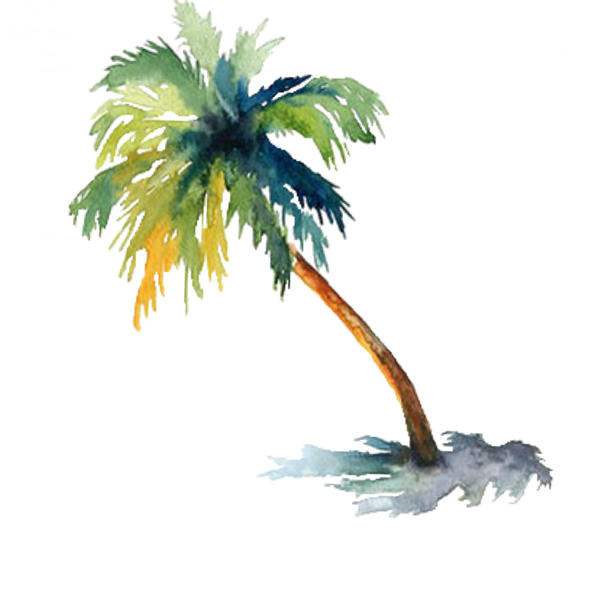 Watercolor Tree Painting Arecaceae Drawing PNG