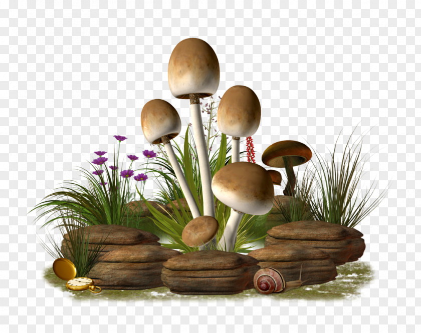 Wonderland Mushroom Photography Clip Art PNG