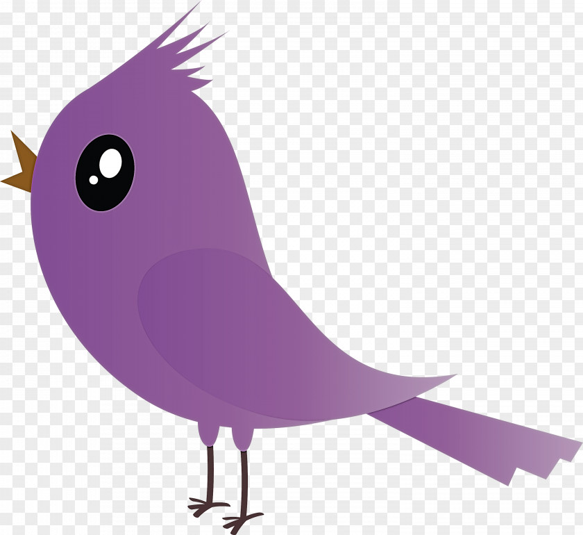 Bird Violet Cartoon Purple Beak PNG