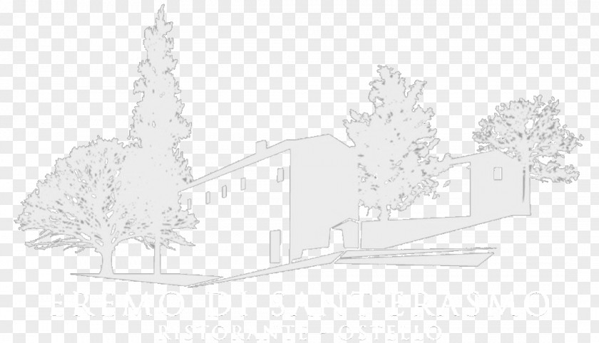 Design Property Tree Sketch PNG