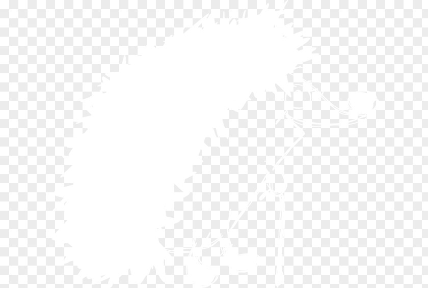 Hand Drawn Hedgehog White Pattern PNG
