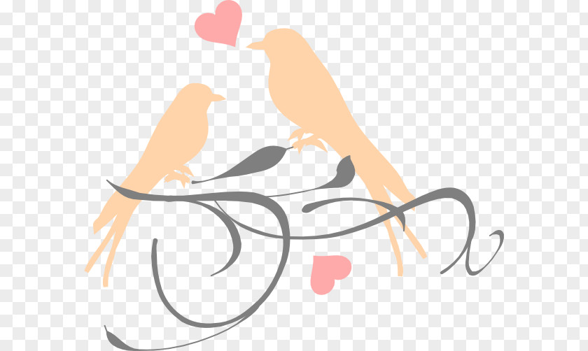 Peach Branch Lovebird Wedding Invitation Clip Art PNG