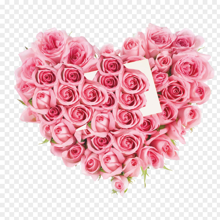Valentine's Day Rose Flower Stock Photography Pink Royalty-free PNG