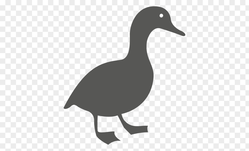 Duck Goose Clip Art PNG