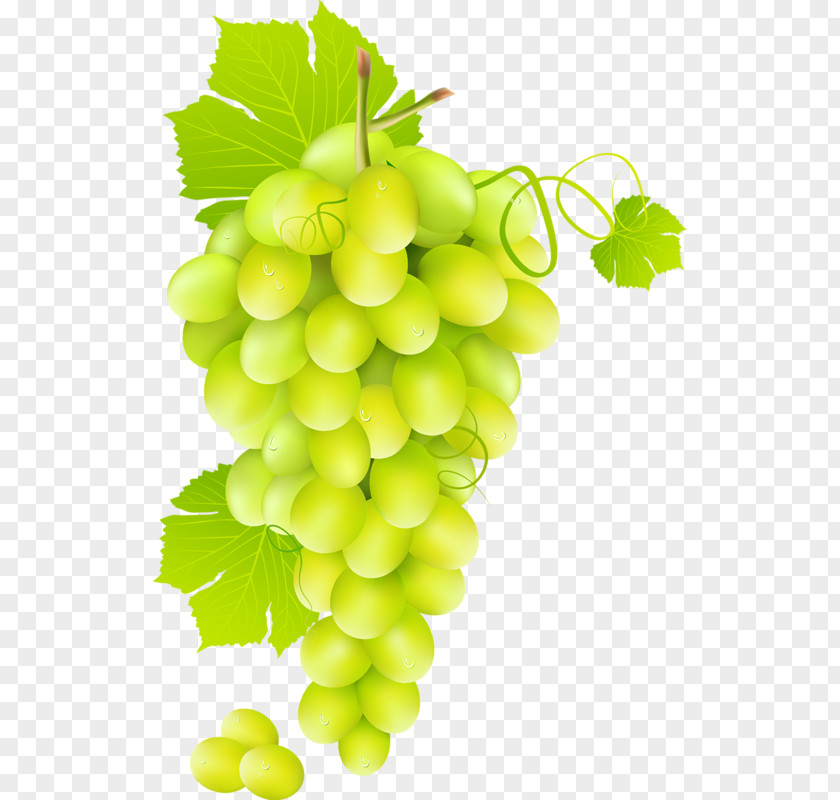 Green Grapes Wine Juice Common Grape Vine PNG
