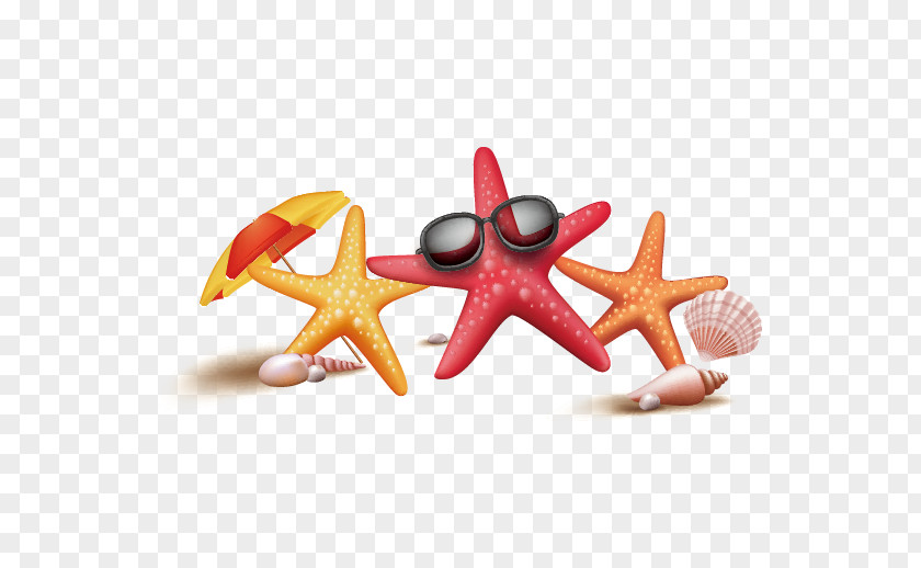 Joy Starfish Vector Poster PNG