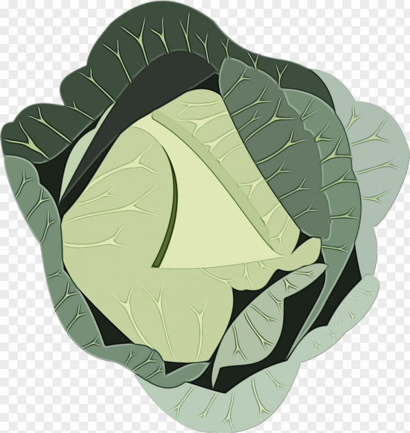 Leaf Vegetable Cruciferous Vegetables Cabbage Green Wild PNG