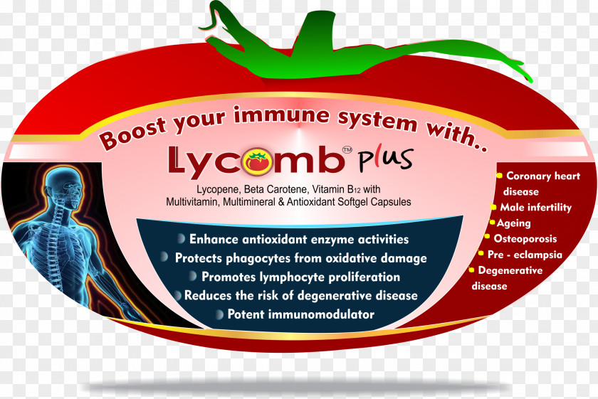 Lycopene Lowers Risk Of Prostate Dietary Supplement Antioxidant Multivitamin PNG