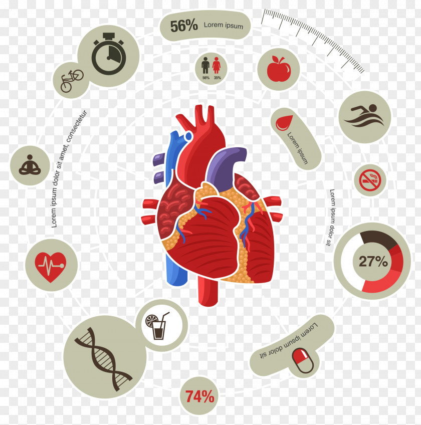Medical Biology Innovation Chart Vector Myocardial Infarction Heart Cardiovascular Disease Symptom PNG