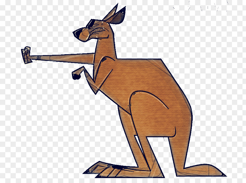 Tail Wildlife Kangaroo Macropodidae Red Wallaby PNG