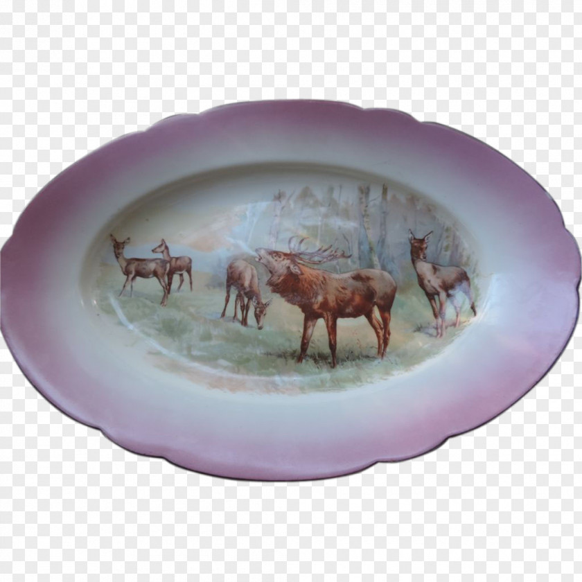Antique Meat Platters Oval M Porcelain PNG