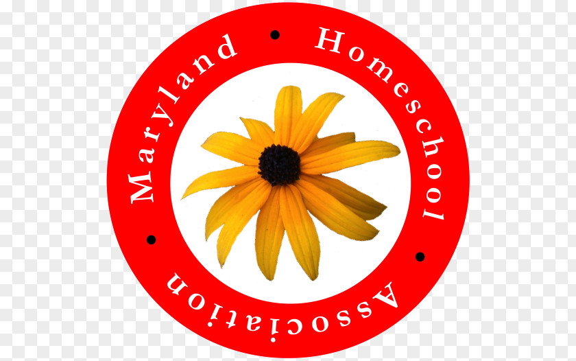 Background Backdrop Halal Bi Maryland Homeschooling Compulsory Education PNG