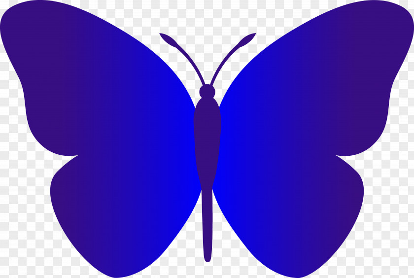 Butterfly Clip Art Openclipart Image Free Content PNG