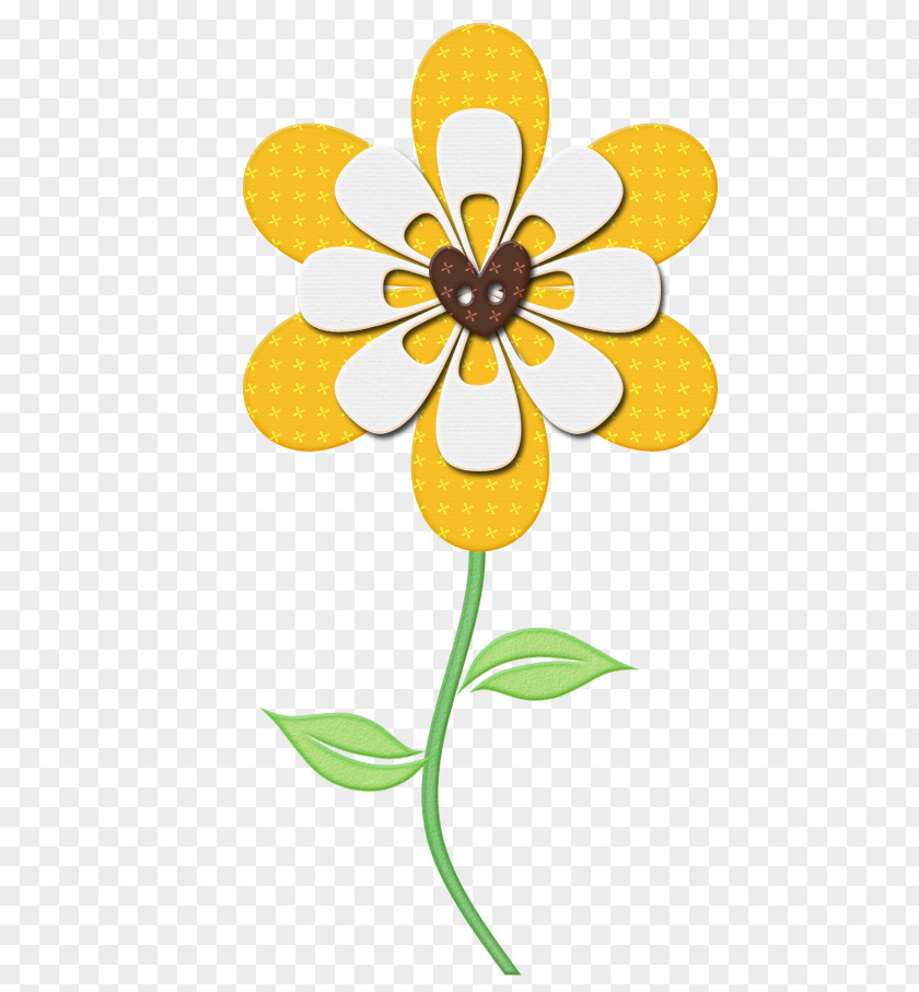 Flower Cut Flowers Floral Design Plant Stem Yellow PNG