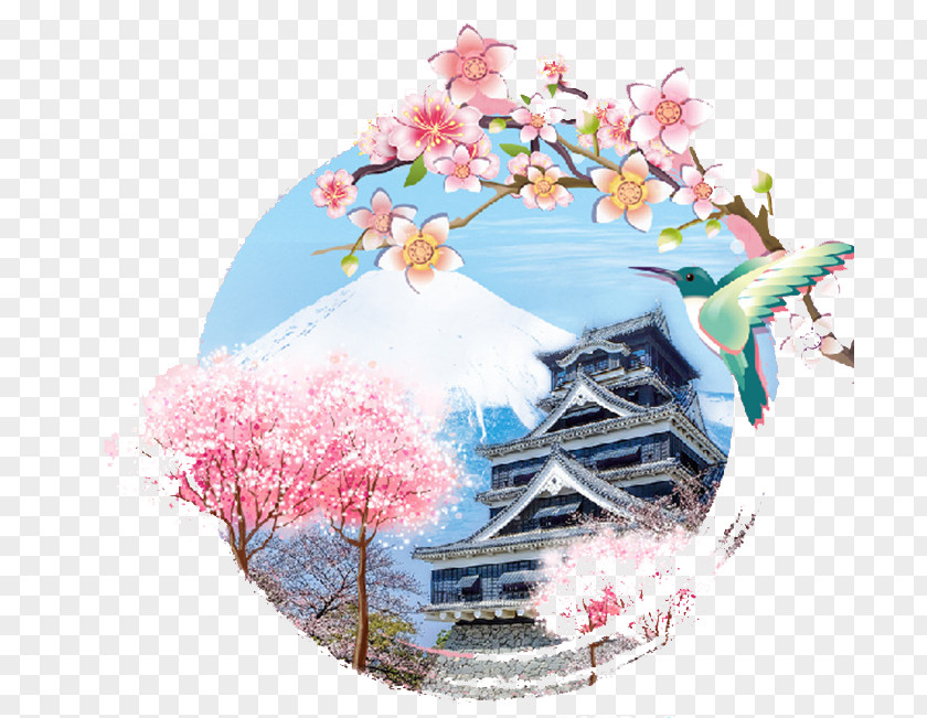 Japanese Cherry Blossoms Japan National Blossom Festival PNG