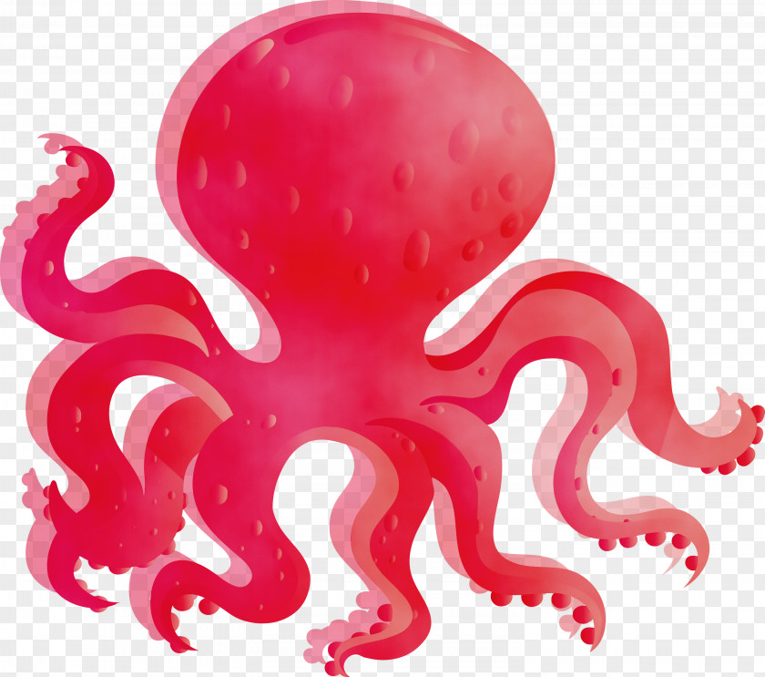Octopus Giant Pacific Red Pink PNG