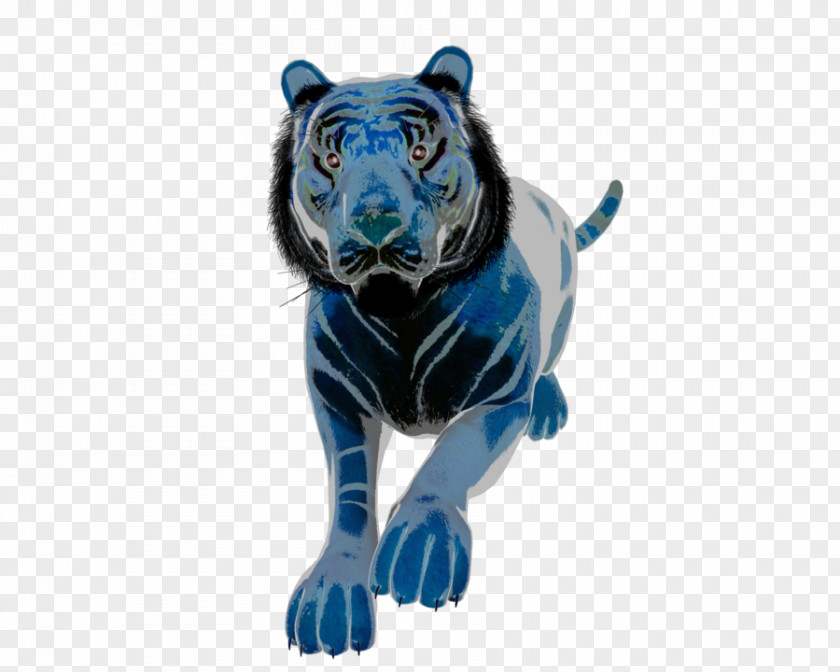 Tiger Cobalt Blue Wildlife Terrestrial Animal PNG