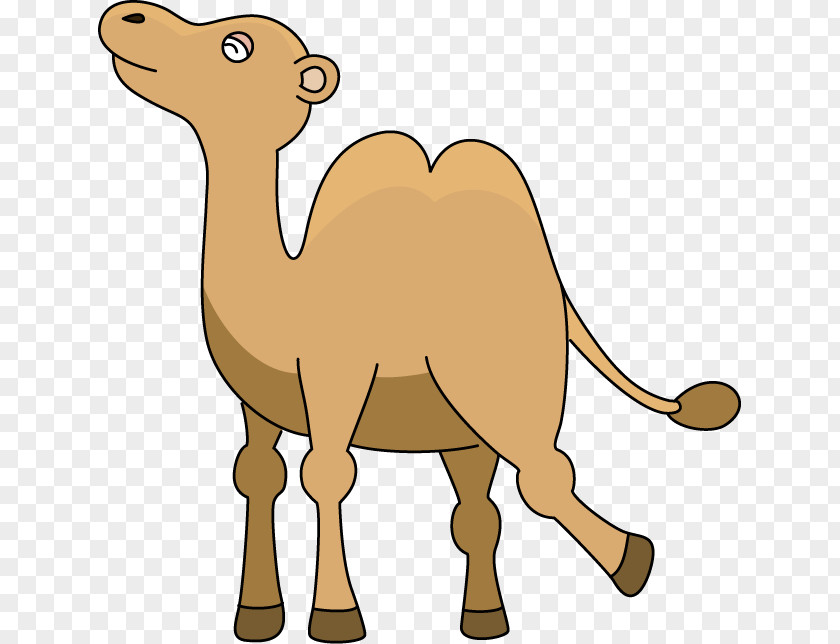 Camel Cartoon Dromedary Paper Clip Art PNG