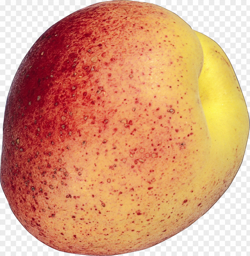 Mango Potato Vegetables Cartoon PNG