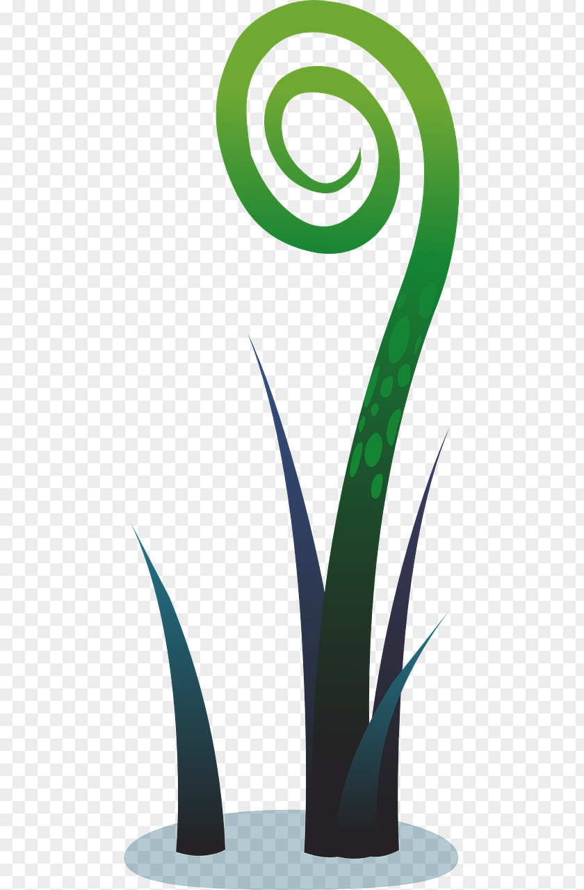 Plant Aquatic Plants PNG