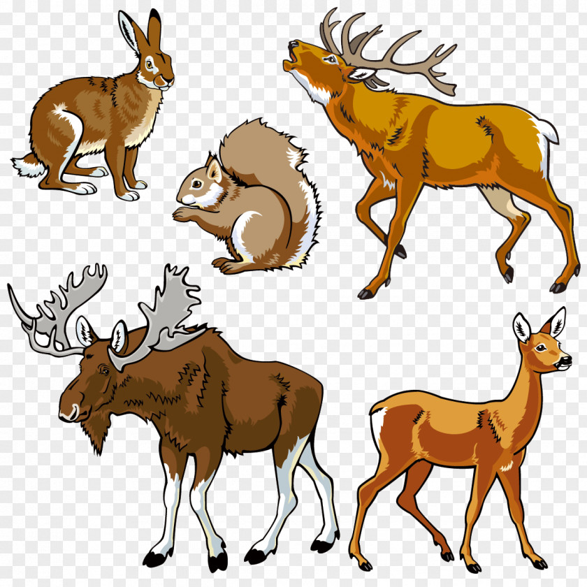 Wildlife Track Vector Graphics Graphic Design Clip Art Illustration PNG