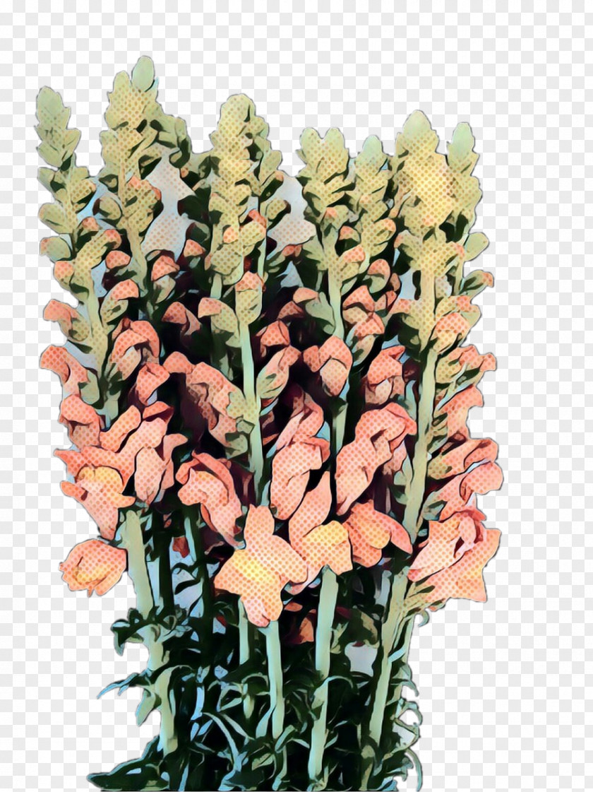 Bouquet Snapdragon Flowers Background PNG
