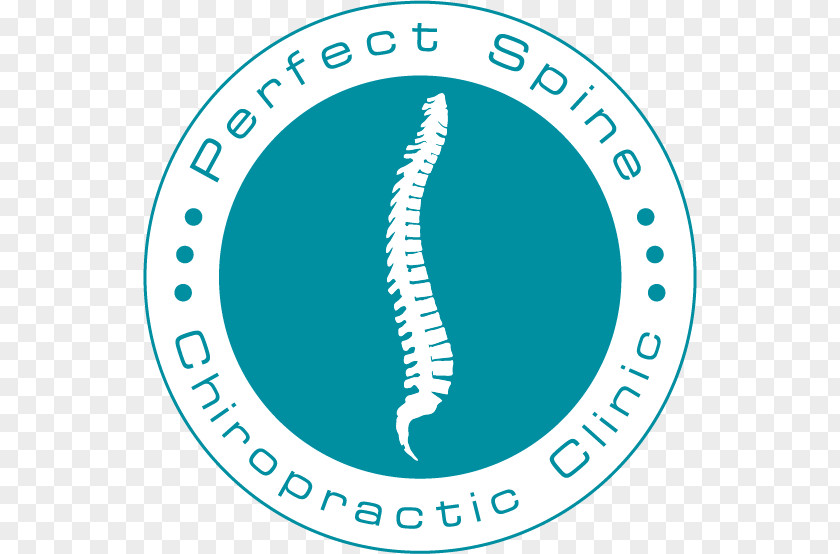 Chiropractor Perfect Spine Chiropractic Clinic Pain Health Care PNG