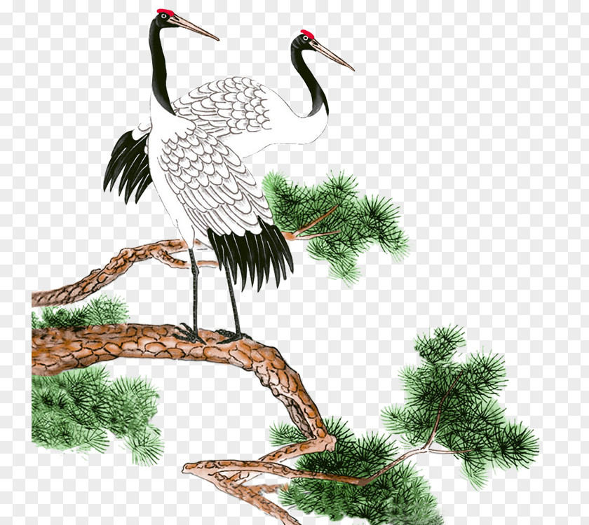 Crane Pines Chinese Calligraphy YouTube Cursive Clip Art PNG