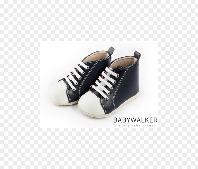 Design Sneakers Shoe PNG