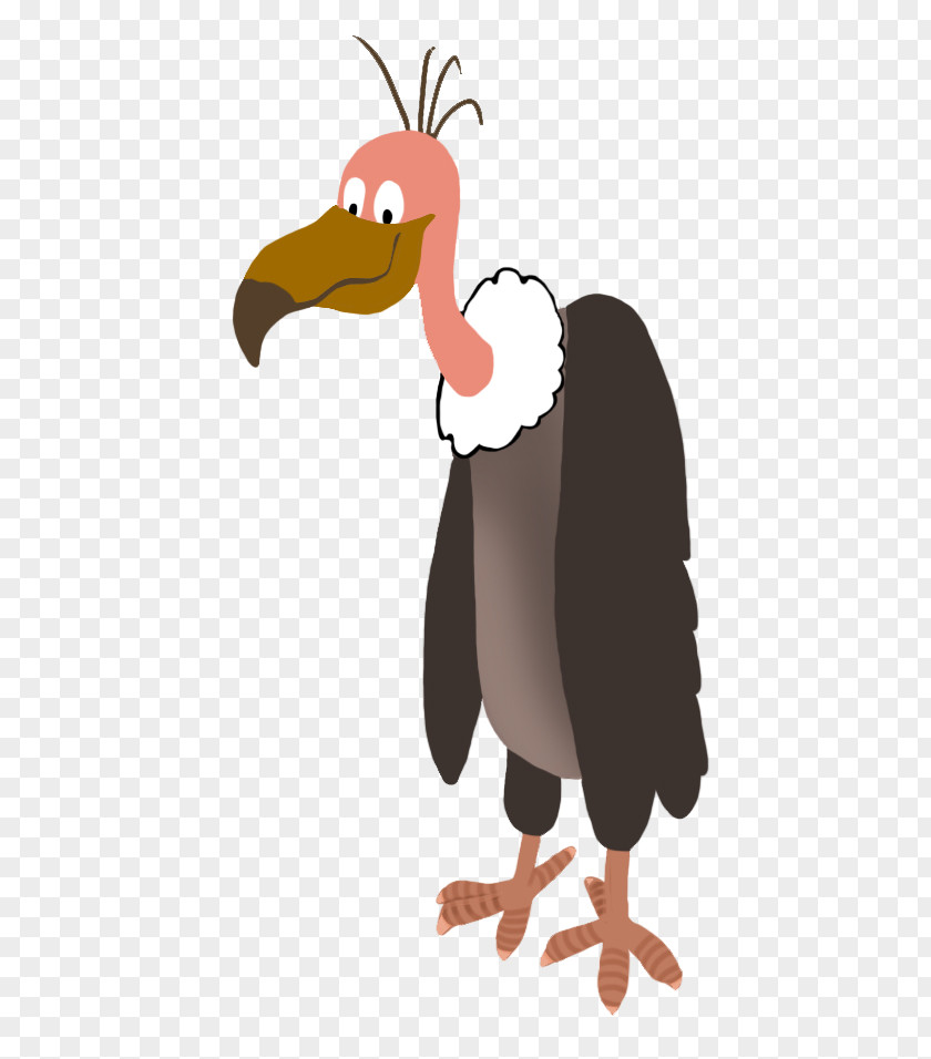 Drawing Hair Vulture Bird Of Prey Penguin Clip Art PNG