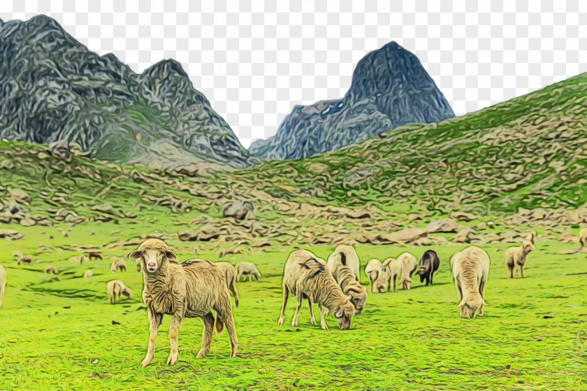 Hill Station Mountain Range Natural Landscape Pasture Herd Highland Mountainous Landforms PNG