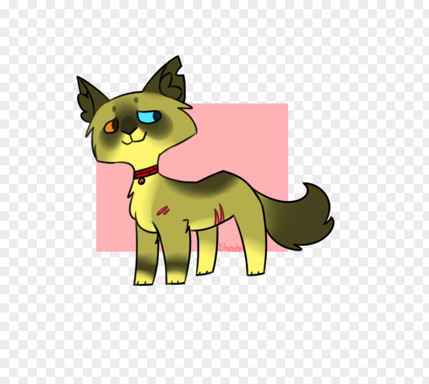 Kitten Whiskers Cat Dog Horse PNG