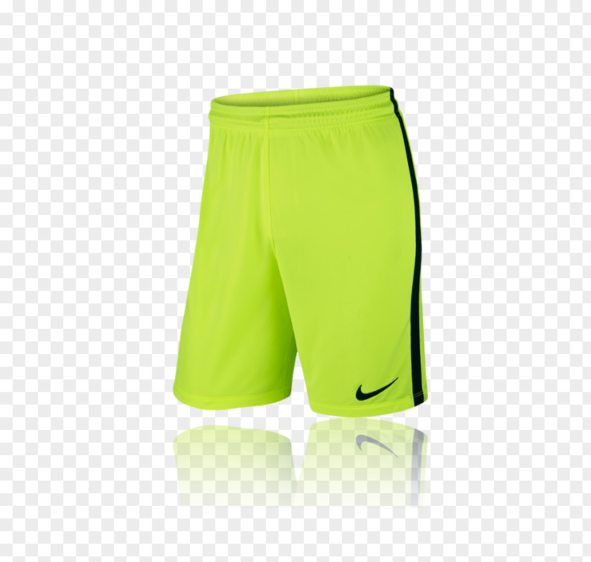 Nike Swim Briefs Shorts Sportswear Puma PNG