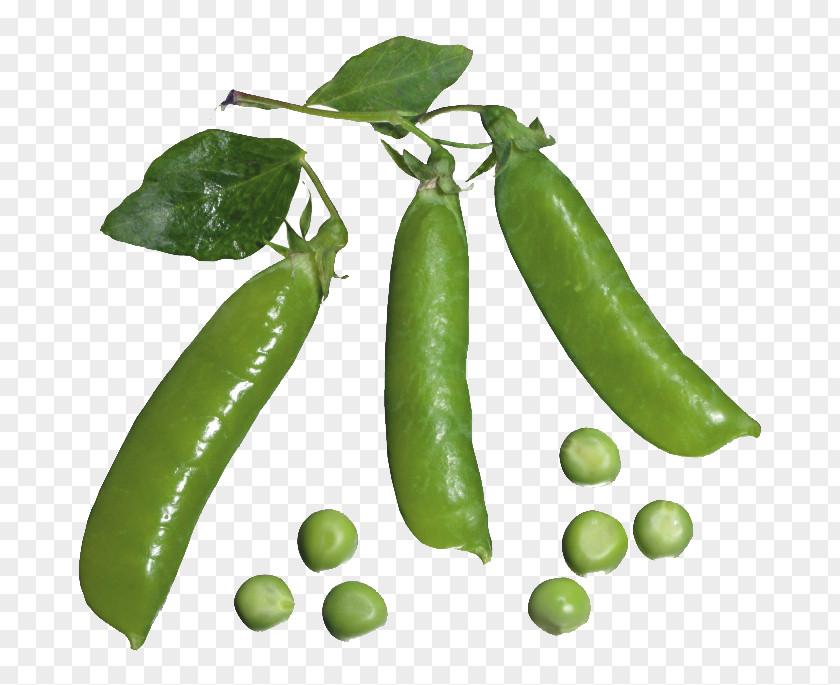 Pea Pod And Peas Vegetable Clip Art PNG