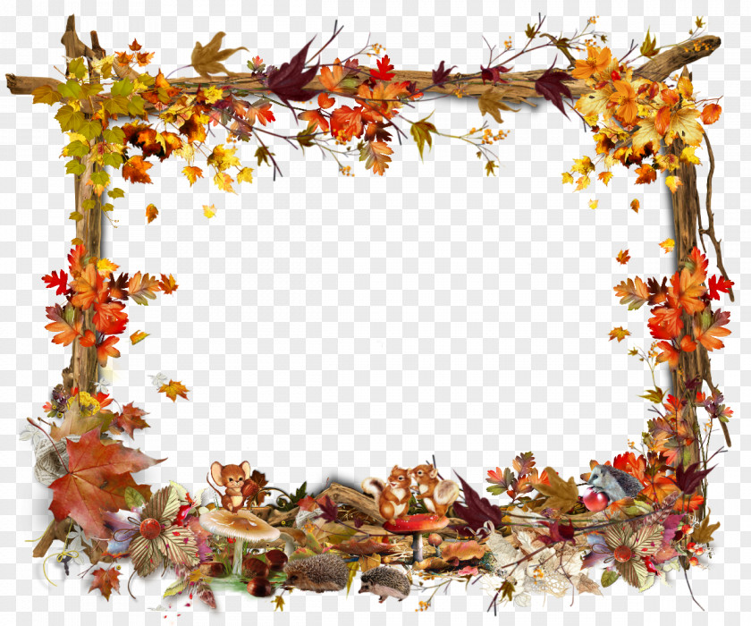 Picture Frame PNG