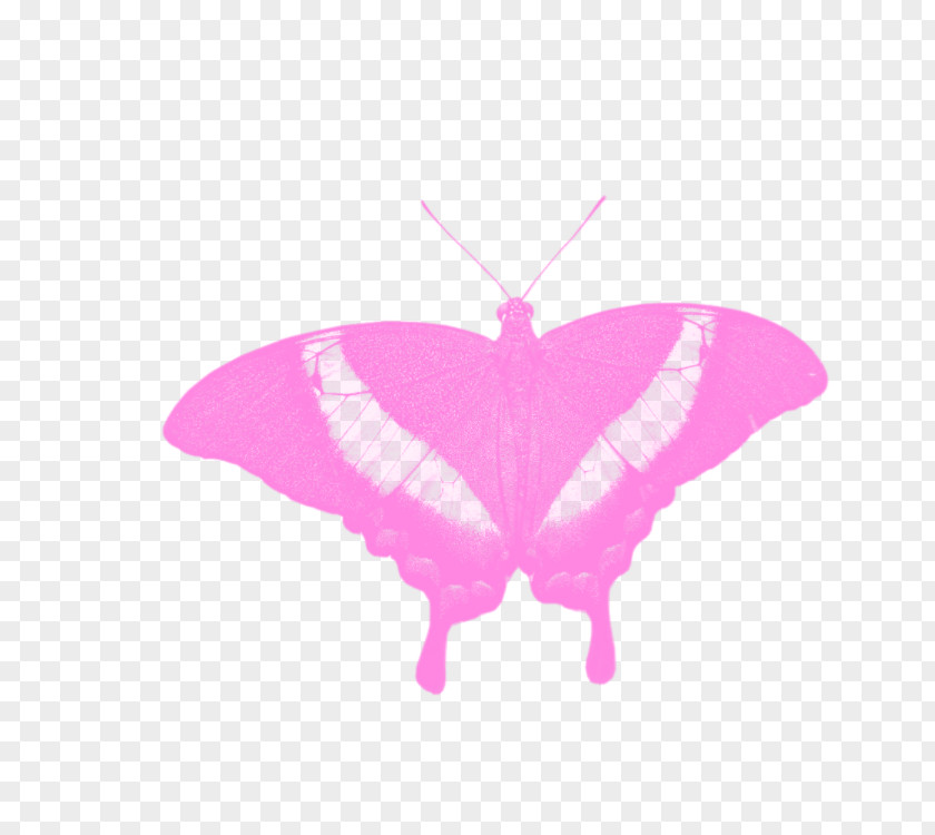 Purple Butterfly Monarch Euclidean Vector PNG
