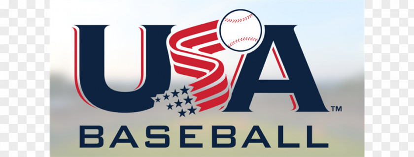 Baseball League Bats Logo Brand Banner PNG